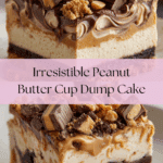 Peanut Butter Cup Dump Cake Recipe