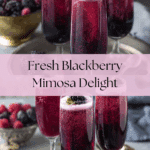 Blackberry Mimosa Recipe