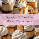 No Bake Mini Biscoff Cheesecakes Recipe