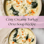 Creamy Turkey Orzo Soup Recipe