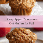 Healthy Apple Cinnamon Oat Muffins Recipe