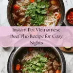 Instant Pot Vietnamese Beef Pho Recipe