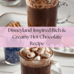 Disneyland's Hot Chocolate Recipe