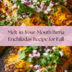 Birria Enchiladas Recipe