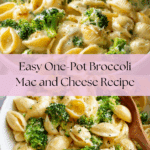 One Pot Healthy Broccoli Mac and Cheese Recipe