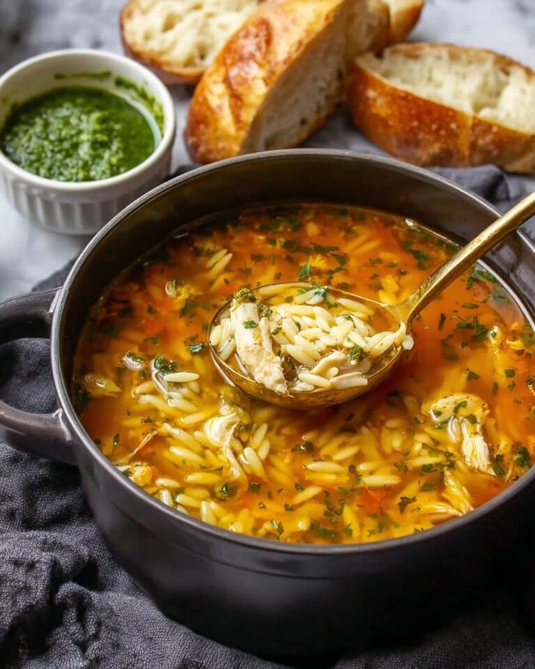 Chicken Orzo Tomato Soup Recipe